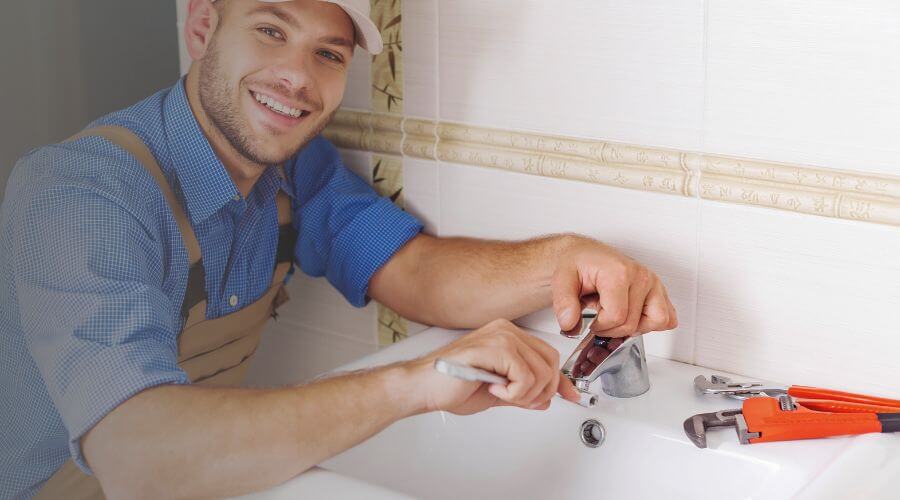 Faucet cartridge replacement in Elsie, MI